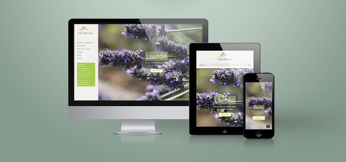 Website Lavendel and more